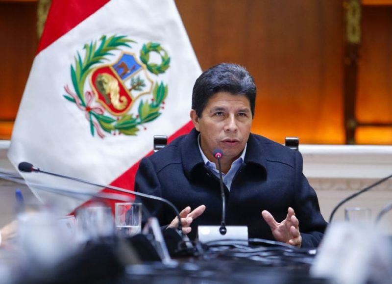 Pedro Castillo insulta a presidente interino y cuestiona al Congreso durante su defensa